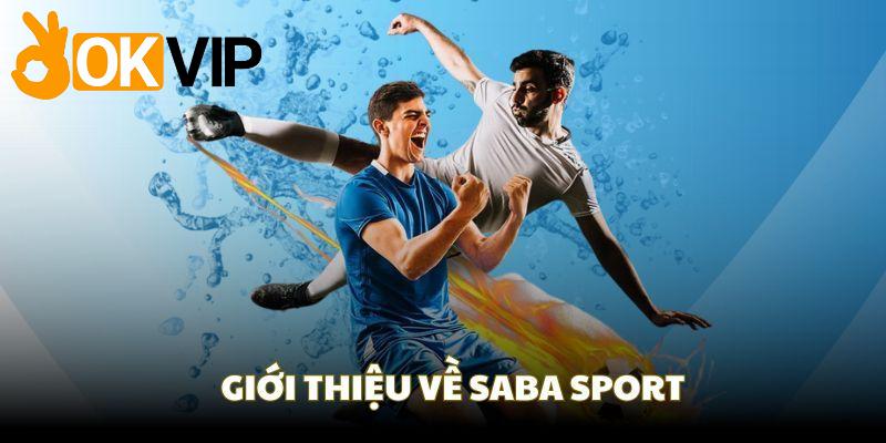 SABA Sports - Hành Trình Khám Phá Đỉnh Cao Cá Cược Thể Thao 2 Top các loại hình giải trí nổi bật ở SABA Sports